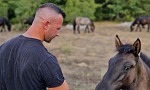 Trojica braće Šutalo u 3 godine učetverostručila broj zaštićenih konja na svojoj ergeli kraj Stoca