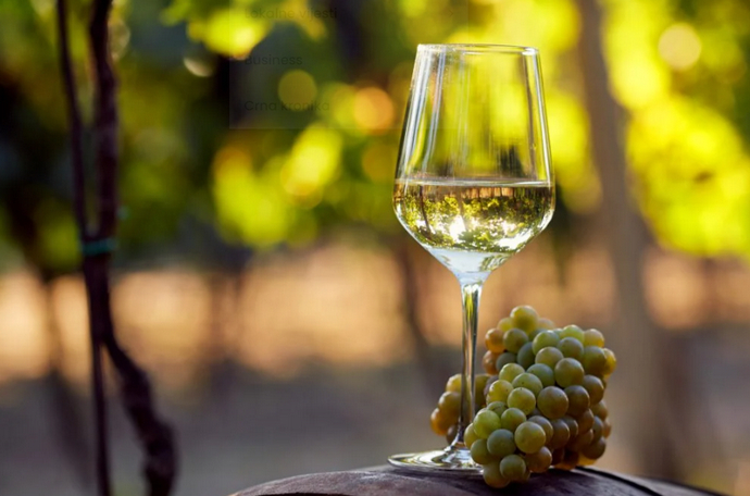 Što učiniti ako vino nakon fermentacije ostane slatko?