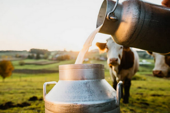 Video: Što će biti sa cijenama mlijeka, slijede li nova poskupljenja?