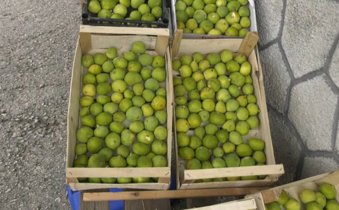 Video: Štandovi s voćem uz magistralnu cestu u Stocu sve su češći prizor