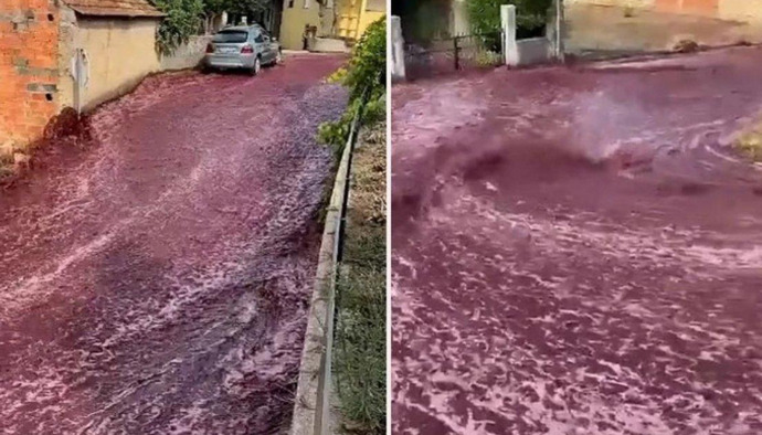 Video: Na ulice gradića u Portugalu izlila se 2.2 milijuna litara vina